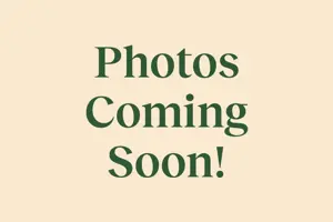 Boca Natural Hanging Egg Chair