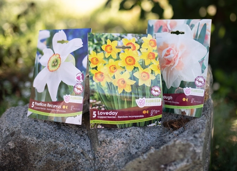 Bulbs & Tubers