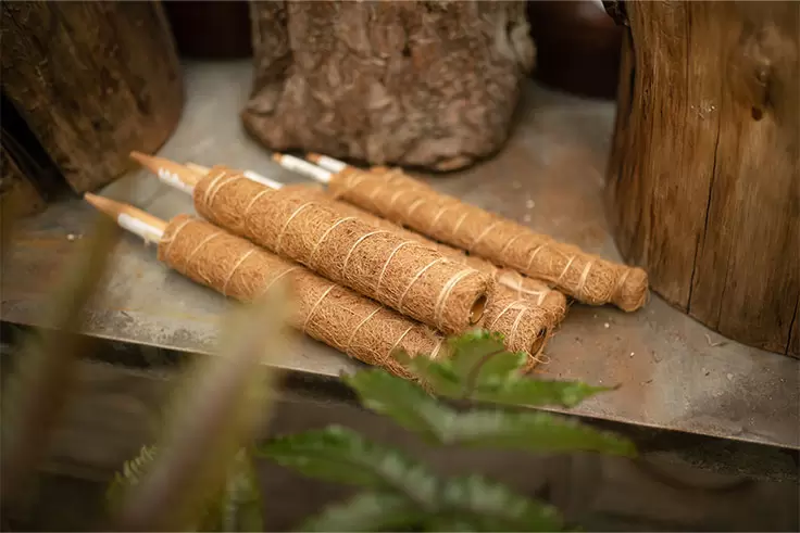 Coconut Coir Poles - image 1