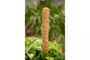 Coconut Coir Poles - image 2