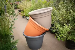 Emma Planters - image 2