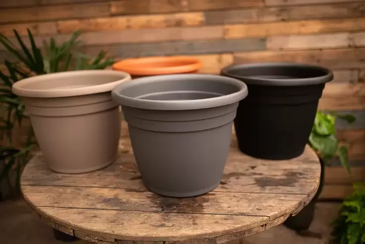 Emma Planters - image 3