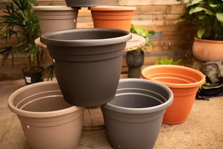 Emma Planters - image 4