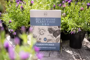 GARDENWORKS All Purpose Plant Food 6-8-6 - image 1