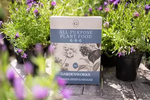 GARDENWORKS All Purpose Plant Food 6-8-6 - image 2