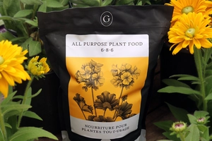 GARDENWORKS All Purpose Plant Food 6-8-6