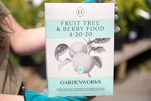 GARDENWORKS Fruit Tree & Berry Food 4-20-20 - image 1