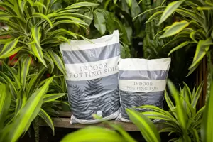 GARDENWORKS Indoor Potting Soil