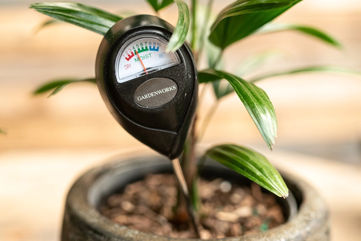 GARDENWORKS Moisture Meter - image 1
