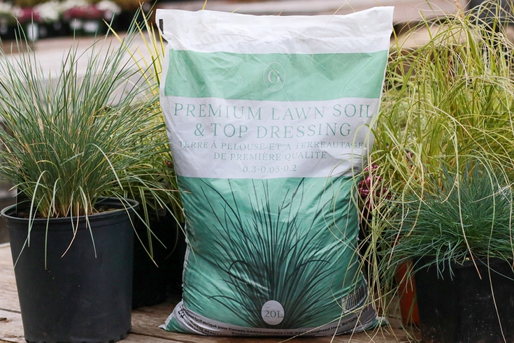 GARDENWORKS Premium Lawn Soil & Top Dressing