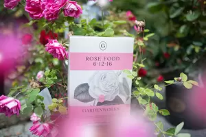 GARDENWORKS Rose Food 6-12-16 - image 2