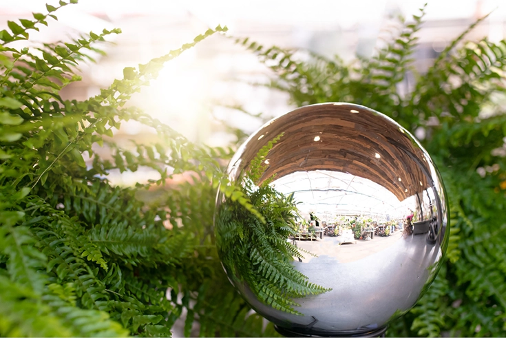 Gazing Globes - image 2