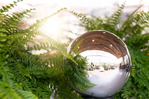 Gazing Globes - image 2