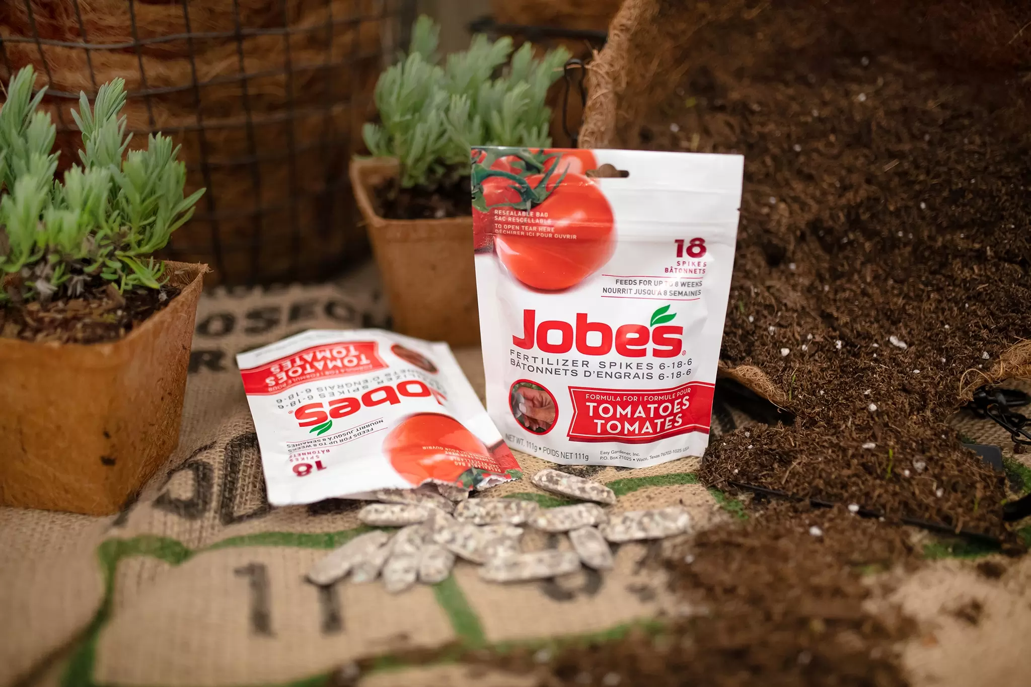 Image of Spike jasmine fertilizer being inserted