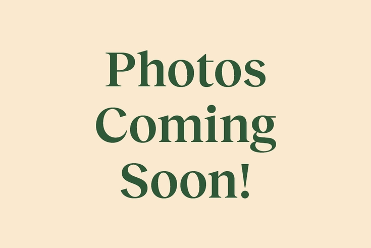 London Grey Egg Chair