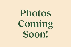 London Grey Egg Chair