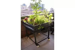 Medium Vegepod Trolley - image 3