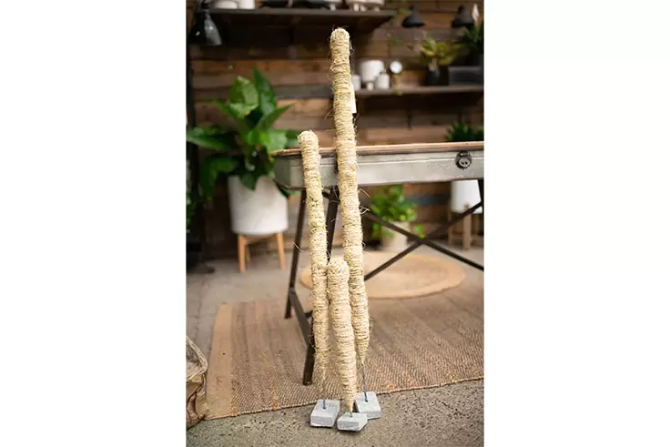 Mossify® Bendable Moss Poles - image 5