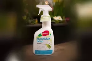 Safer's Insecticidal Soap