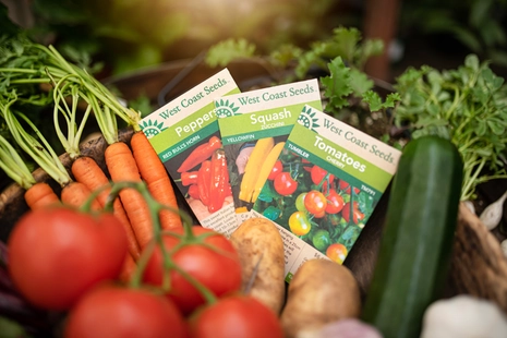 Seed Starting Supplies