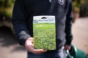 West Coast Seeds Lawn Solution Seeds